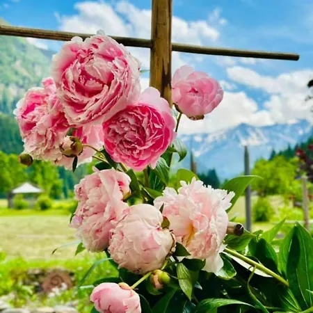 Am Gribesgraben Sonthofen