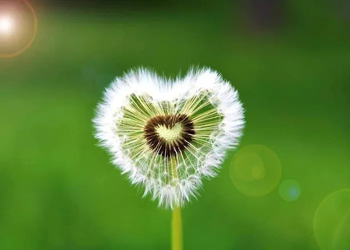 Am Gribesgraben Apartment Sonthofen