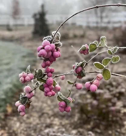 Am Gribesgraben * 松托芬