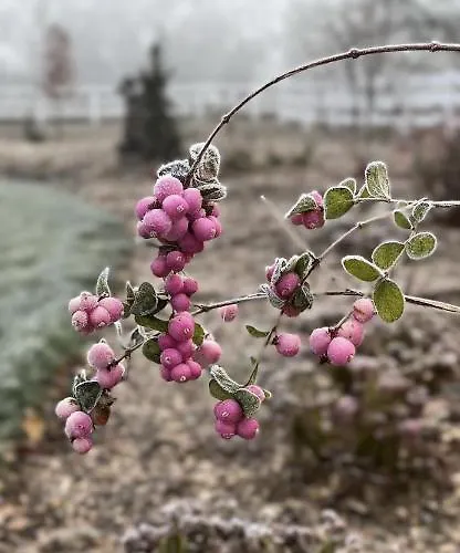 Am Gribesgraben * Sonthofen